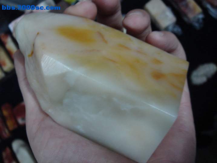 DSC06064_调整大小.JPG