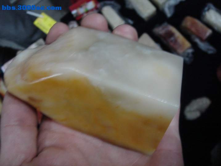 DSC06063_调整大小.JPG