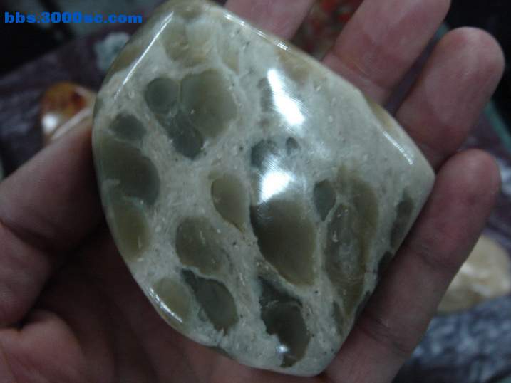 DSC06066_调整大小.JPG