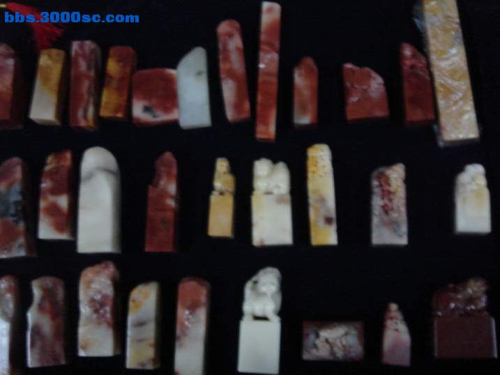 DSC06065_调整大小.JPG