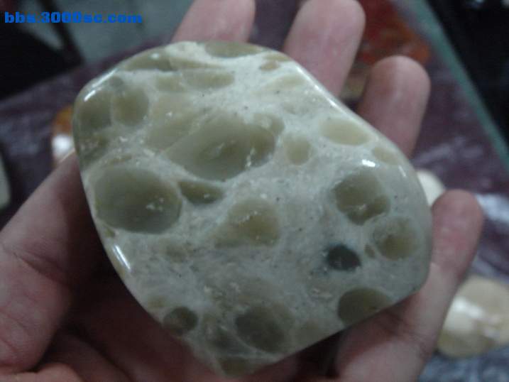 DSC06067_调整大小.JPG