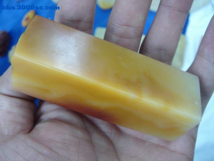 DSC06156_调整大小.JPG