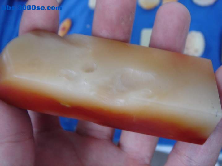 DSC06158_调整大小.JPG