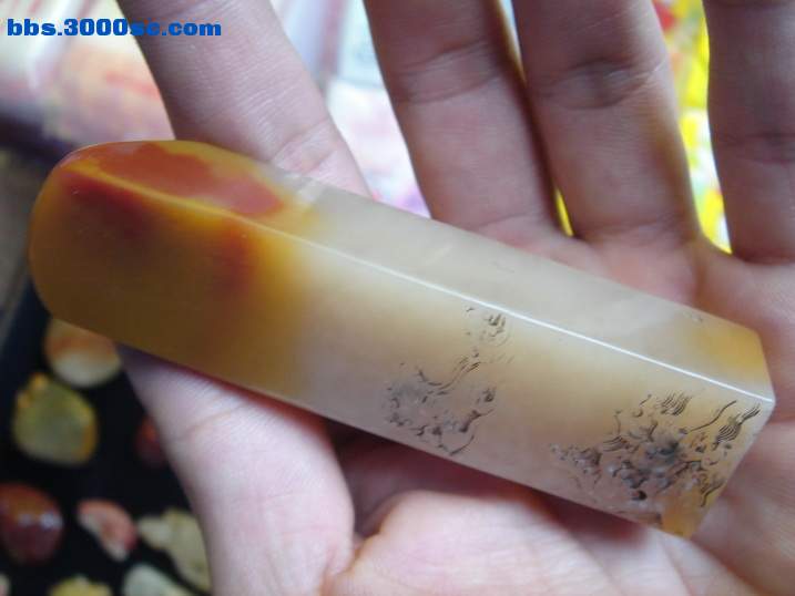 DSC06171_调整大小.JPG