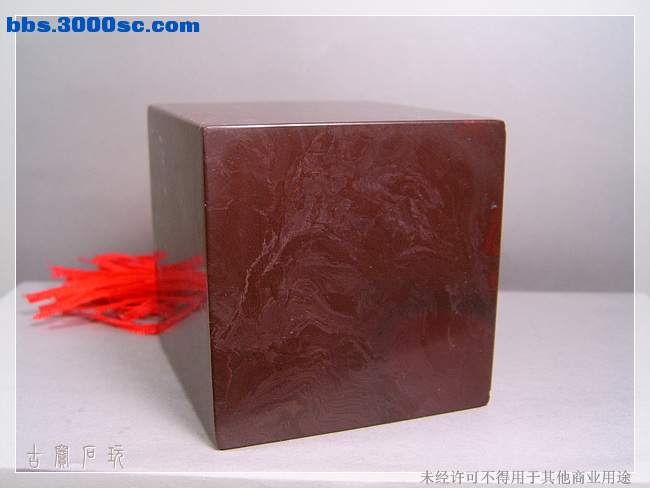 SUC32131.jpg