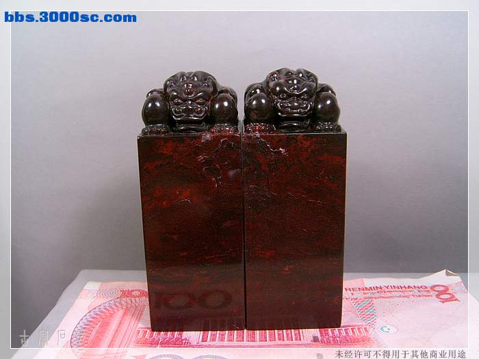 SUC32872.jpg