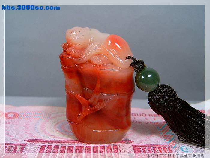 SUC33770.jpg