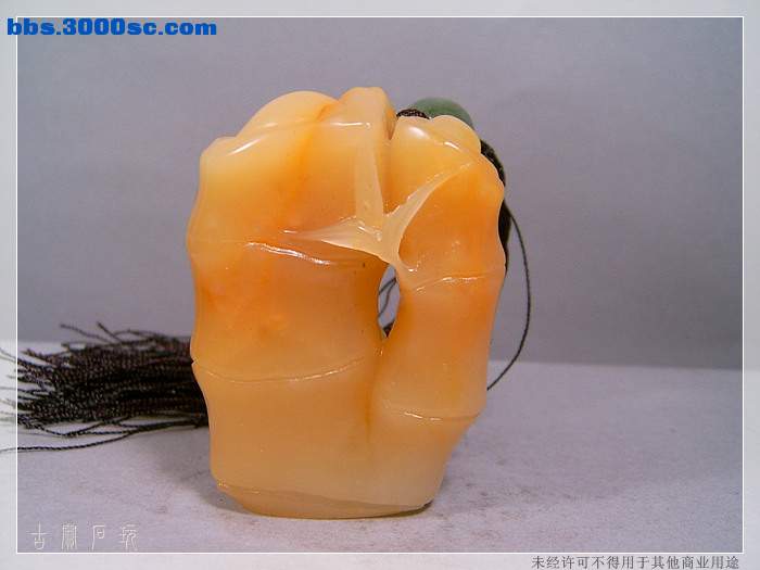 SUC33773.jpg