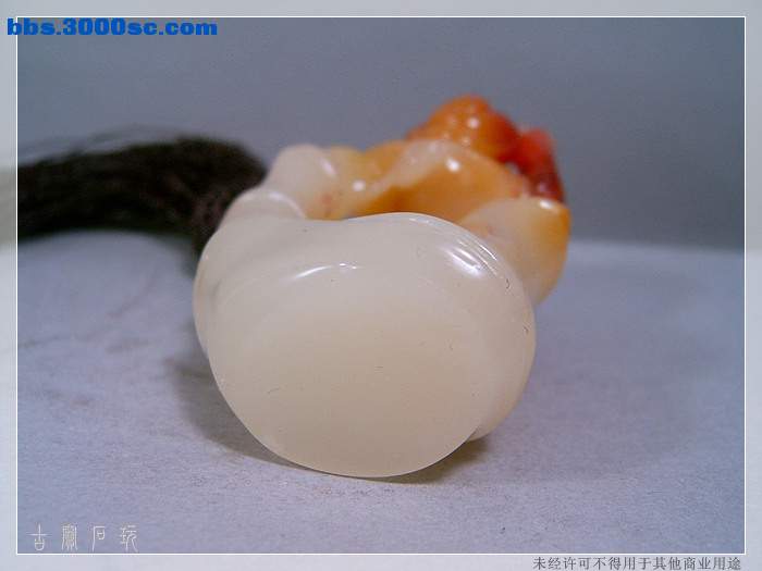 SUC33782.jpg
