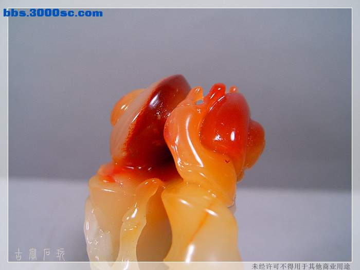 SUC33783.jpg