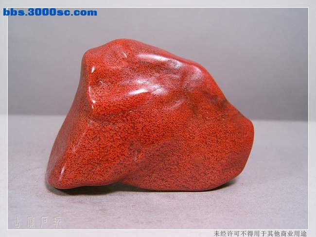 SUC34287.jpg