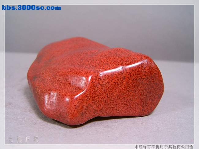 SUC34290.jpg