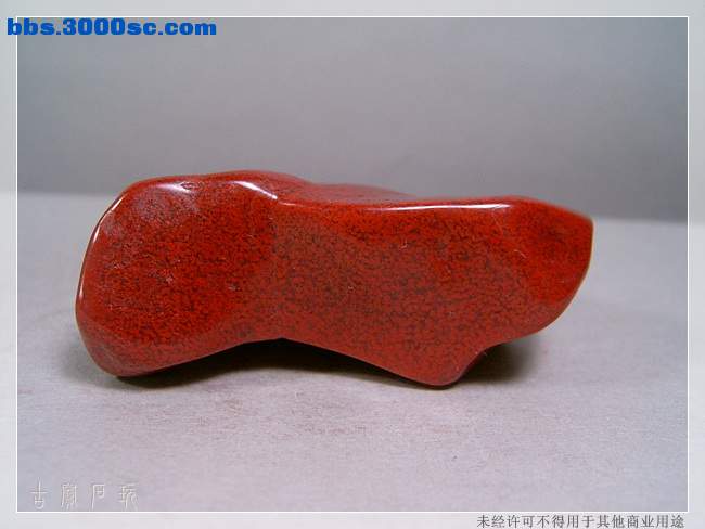 SUC34288.jpg