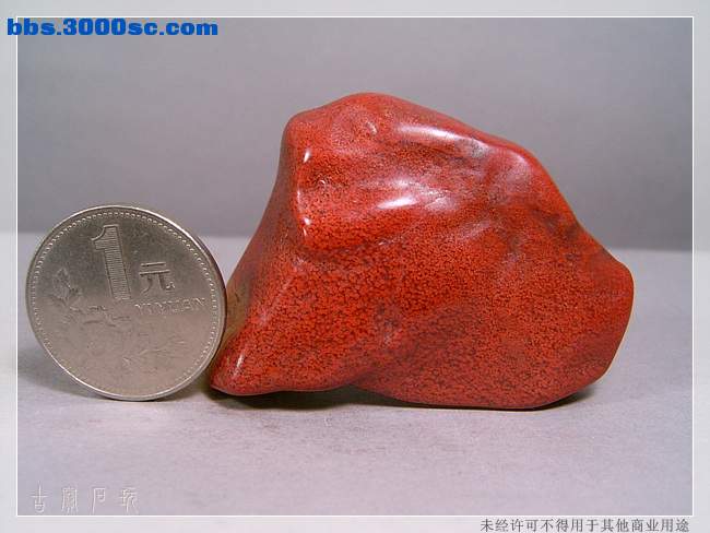 SUC34293.jpg