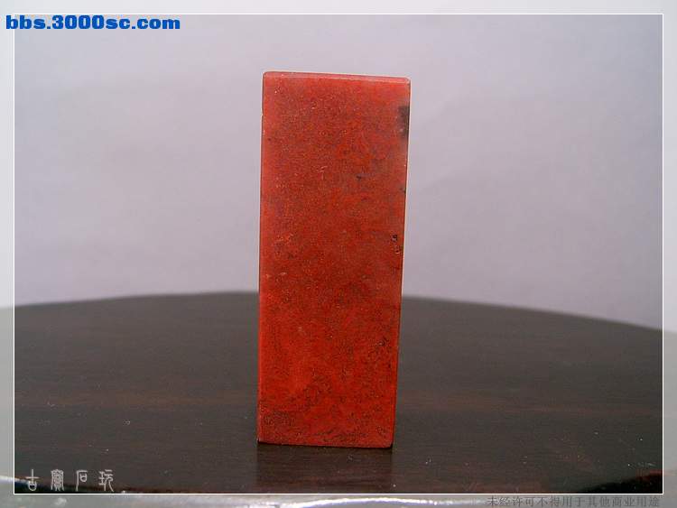 SUC35018.jpg