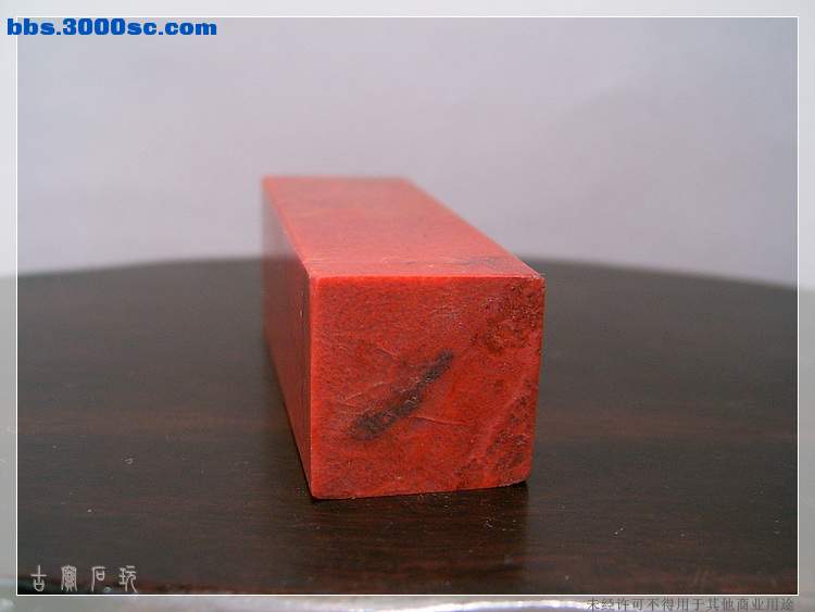 SUC35021.jpg
