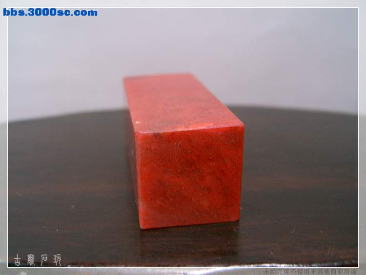 SUC35022.jpg