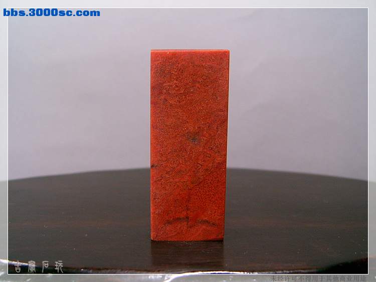 SUC35020.jpg