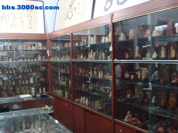 DSC08780.JPG