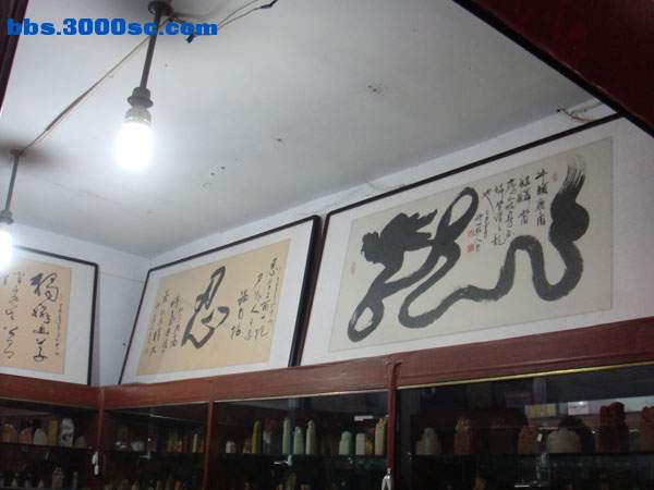 DSC08779.JPG