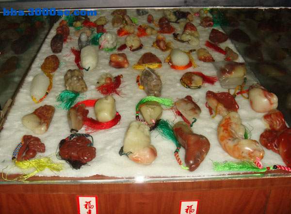 DSC08805.JPG