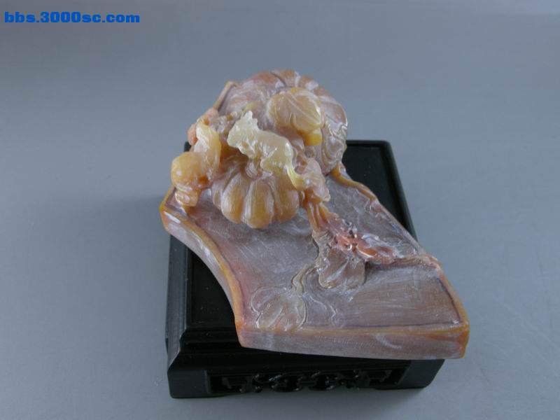 DSCN8204.JPG
