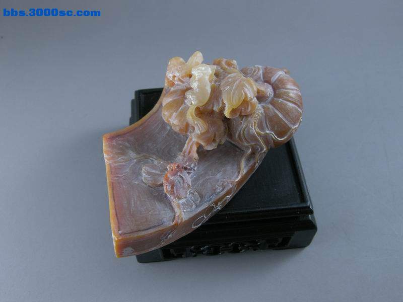 DSCN8203.JPG