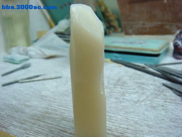 DSC02224.JPG