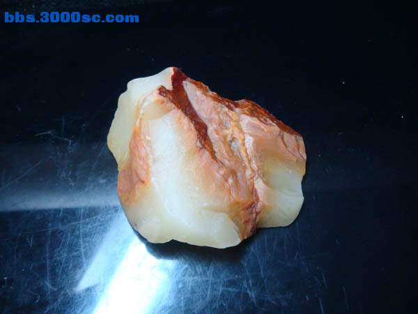 DSC09069.JPG