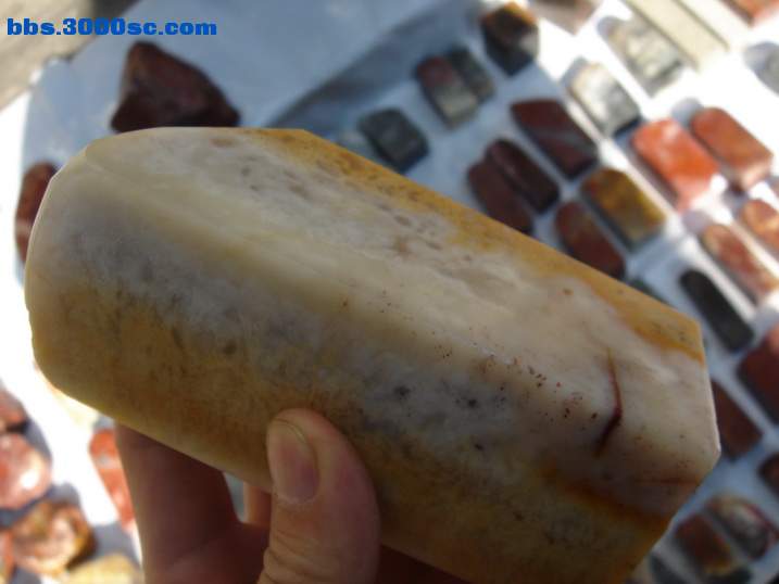 DSC06246_调整大小.JPG