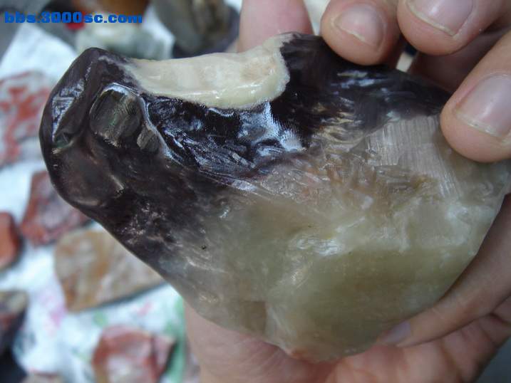 DSC06251_调整大小.JPG