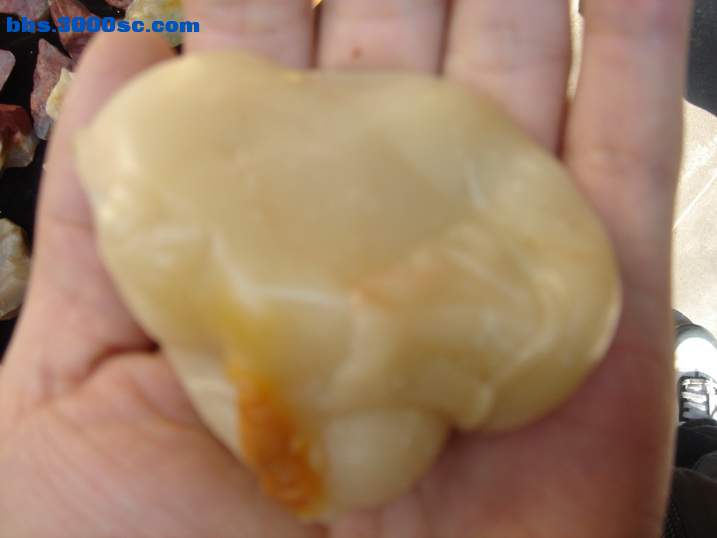DSC06253_调整大小.JPG