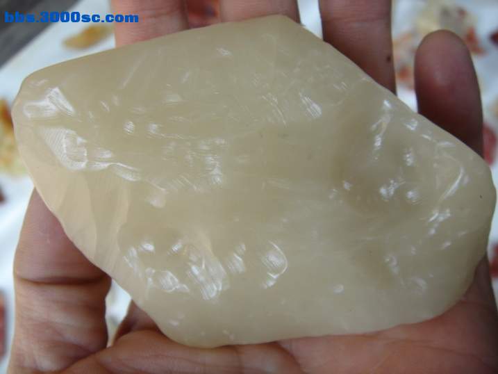DSC06255_调整大小.JPG