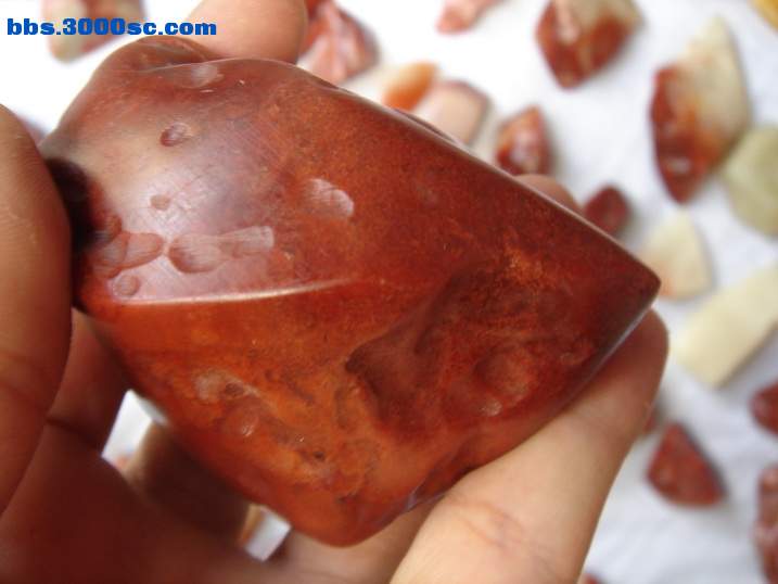 DSC06259_调整大小.JPG