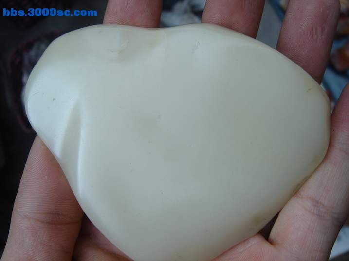 DSC06261_调整大小.JPG