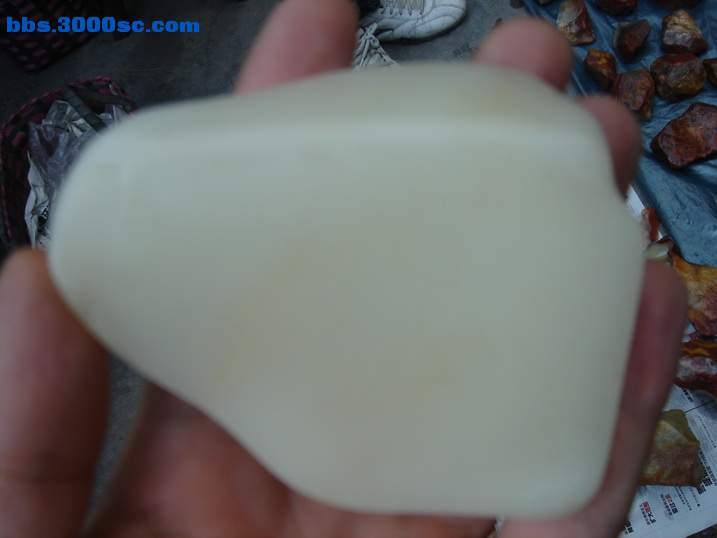 DSC06262_调整大小.JPG