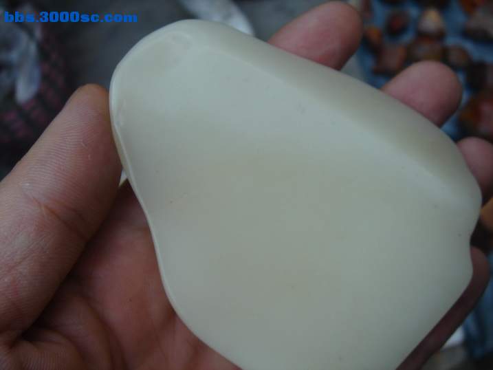 DSC06263_调整大小.JPG