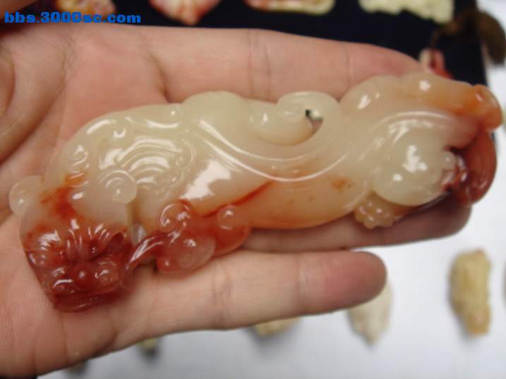 DSC06331_调整大小.JPG