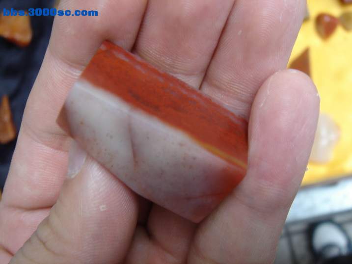 DSC06340_调整大小.JPG