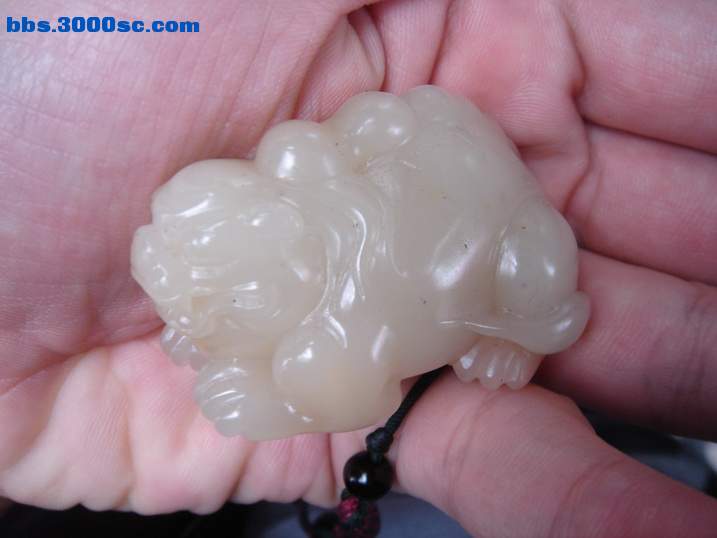 DSC06343_调整大小.JPG