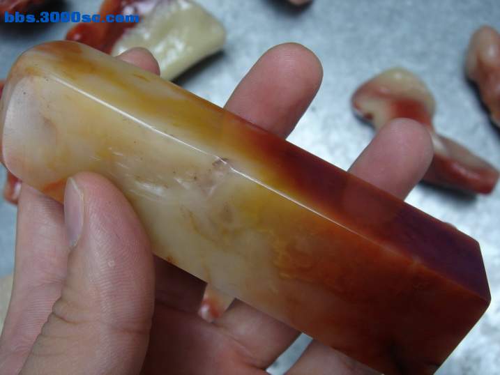 DSC06347_调整大小.JPG